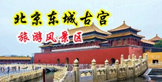 淫色人妻小说网中国北京-东城古宫旅游风景区